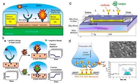 Silicon-Based Sensors for Biomedical Applications: A Review