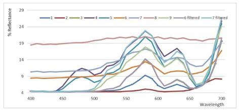 Commercial Hemp Seed Oils: A Multimethodological Characterization