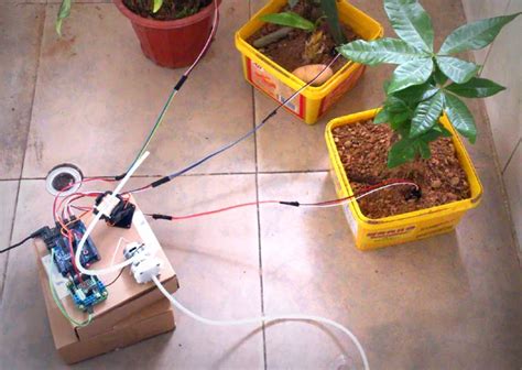 Автополив на Arduino: схемы подключения, программный код