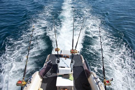 Image result for Trolling for Fish