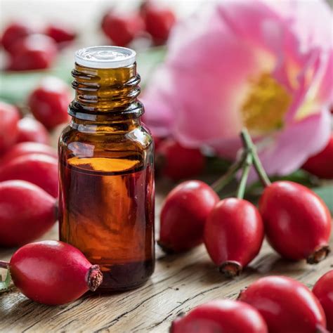 Rosehip Seed Oil Benefits for Skin: How to Use, Where to Buy + DIY Recipes! - Simple Pure Beauty