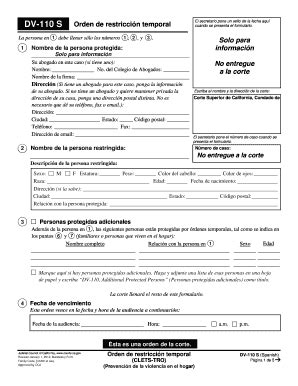 DV-110 Temporary Restraining Order (CLETS TRO) (Domestic Violence ...