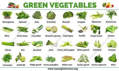 Vegetables That Start With The Letter B - Letter Structure Basics