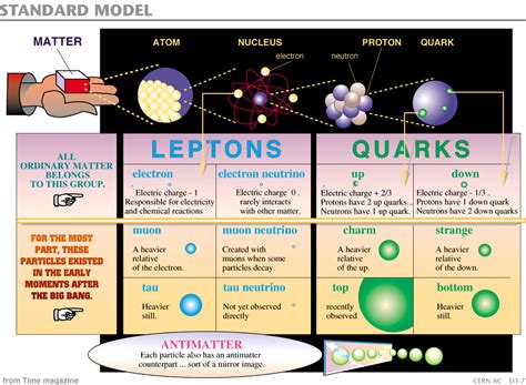 Image result for CERN Standard Model