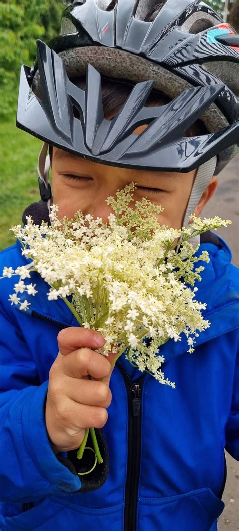 Foraging for real beginners, 2 Dovecot Park, Aberdour, KY3 0TA, United ...