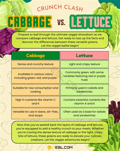 Lettuce Vs Cabbage Nutrition at Nicholas Bruny blog