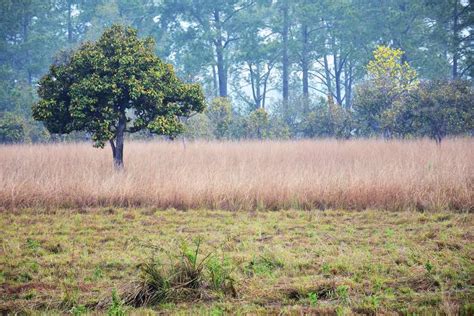 Environment Photography Examples 的图像结果