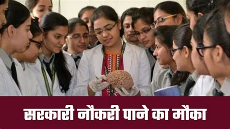 Lab Assistant Vacancy 的图像结果