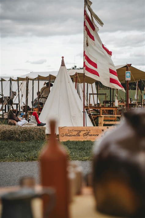 Image result for What Is Colonization