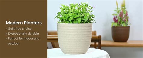 Eha Set of 2 Earth-Friendly 5" Verona Pots and Planters | Bamboo Based ...