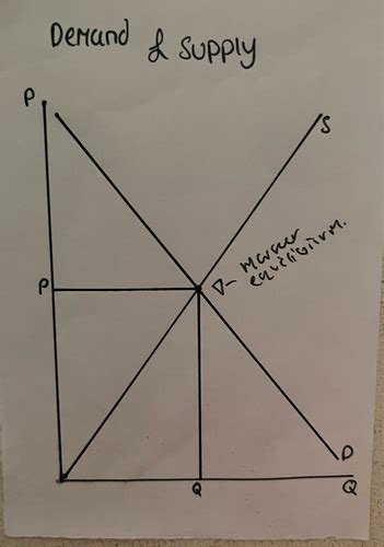 Basic Economic Model 的图像结果