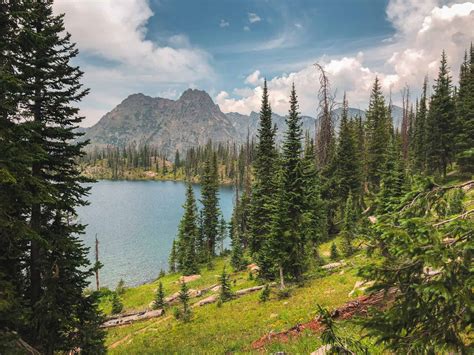 13 Best Steamboat Springs Hiking Trails (By A Local)