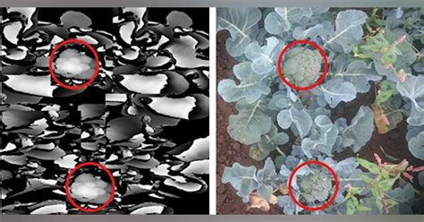 Image result for 3D Imaging Technology