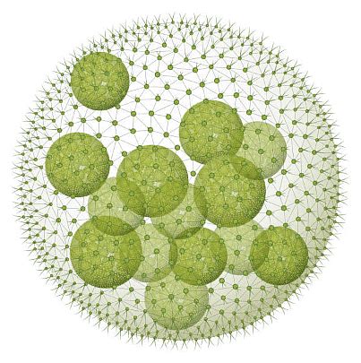 Algae and Its Classification - Biology Class 11 - NEET PDF Download