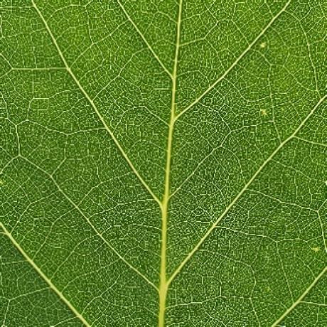 Buy Manfrotto Compact Light Black Online at Low Price in India ...