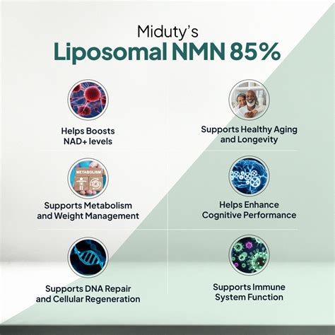 Best Nicotinamide Mononucleotide NMN Supplement in India