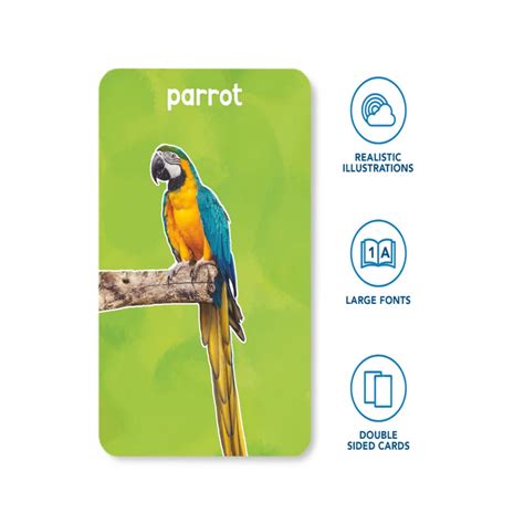 Skillmatics Flash Cards — Toycra