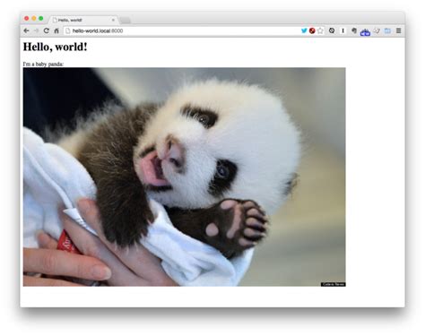 Image result for HTML First Code