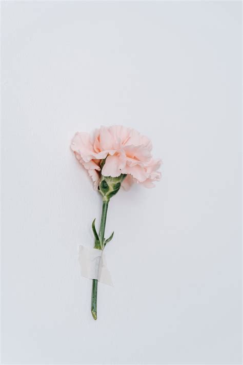 6 Products that Contain Progesterone - Effective Over the Counter Progesterone Supplements – Proov