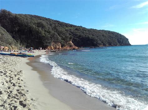 THE 30 BEST Places to Visit in Scarlino (2026) - Must-See Attractions