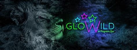 GloWild, Paignton Zoo, December 23 2023 | AllEvents.in