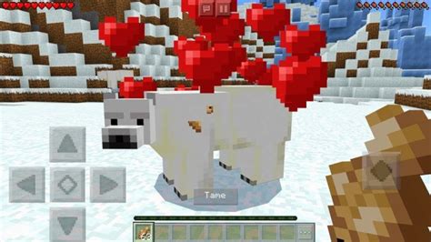 How To Tame And Breed Polar Bears In Minecraft 2025