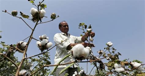 India-ASEAN bilateral trade to reach $300 billion by 2025: Report ...