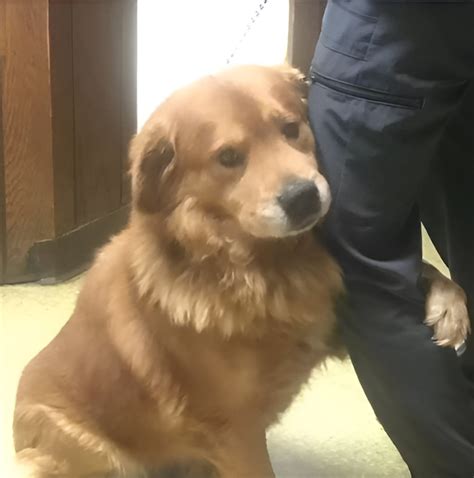 GEORGE STRAIT SURPRISES TEXAS DAIRY QUEEN STAFF WITH DRIVE-THRU VISIT ...