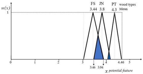 Application of Fuzzy Theory to the Investigation of Children’s ...