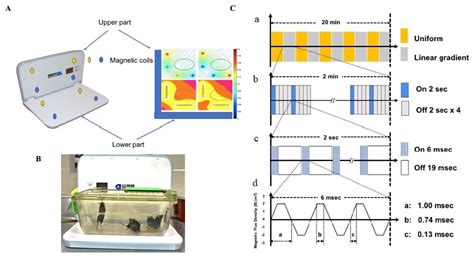 Low-Field Magnetic Stimulation Alleviates MPTP-Induced Alterations in ...