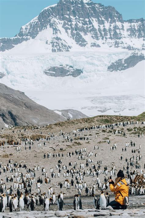 Antarctica Cruise | 9 Things to Know before taking a Trip to Antarctica ...