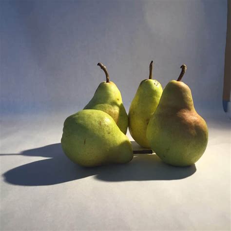 Image result for Overlapping Shapes Paint Mixing