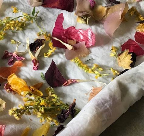 BOTANICAL BUNDLE DYEING, The Thousand Islands Arts Center, Clayton, 12 ...