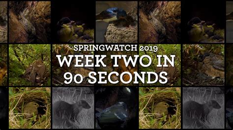 Image result for Springwatch 2009