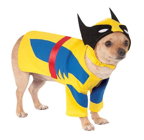 50 Best Small Dog Halloween Costumes - The Paws