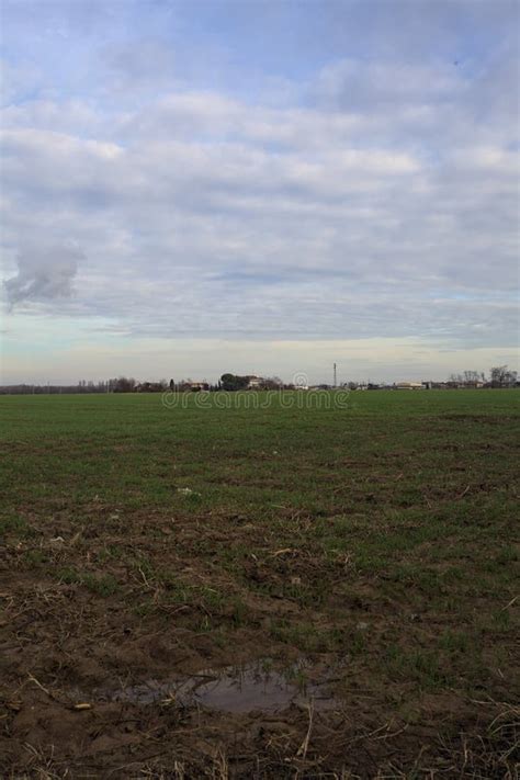 Image result for Field Edge Part Request Tutorial