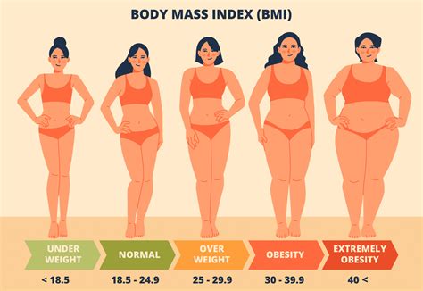 Average Body Fat Percentage: What Numbers Tell Us About Health