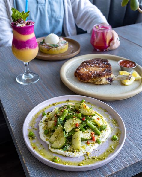 Señor Bear Denver Co