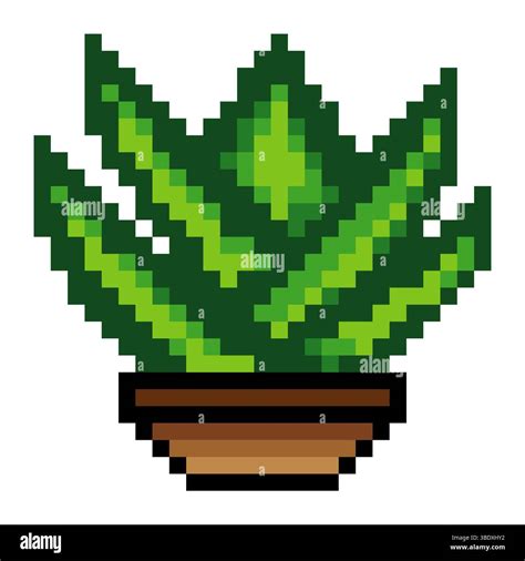 Aloe vera plant in pot with pixel art Stock Vector Image & Art - Alamy