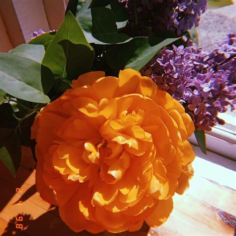 Image result for Factorial Program in Java Using for Loop