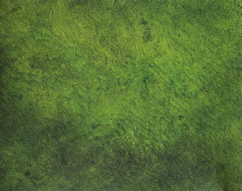 "Untitled 62": Green Acrylic Painting by Durgesh Birthare | ArtZolo.com