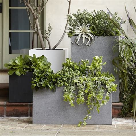 Pin by Jenny on L-绿植 | Indoor outdoor planter, Outdoor planters, Fall ...