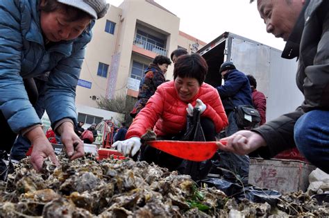 正月十五前夕 探访青岛早市 鸦片鱼22一斤 贝类海味尝鲜正当时