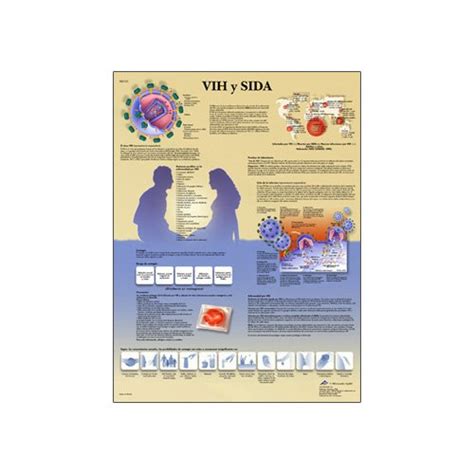Anatomy Lab Muscular System Anatomical Chart, LAMINATED, 17.3 | Shop ...