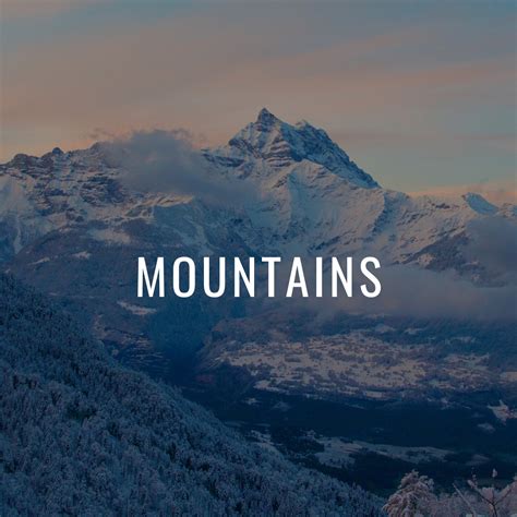 "The Beauty of Biodiversity: Celebrating Nature's Diversity on ...