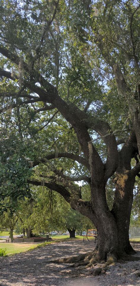 INDIAN POINT RV RESORT (Gautier) - Campground Reviews & Photos ...