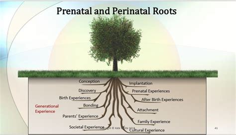 Image result for People On a Tree Trauma Processing