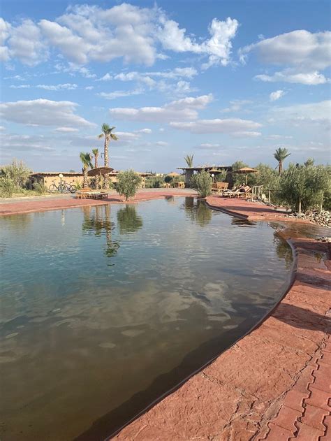 LE PARC DES OLIVIERS (Douar Ben Omar) - Guesthouse Reviews, Photos ...