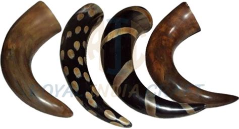 Drinking Horns Manufacturer, Exporter & Supplier from Amroha India