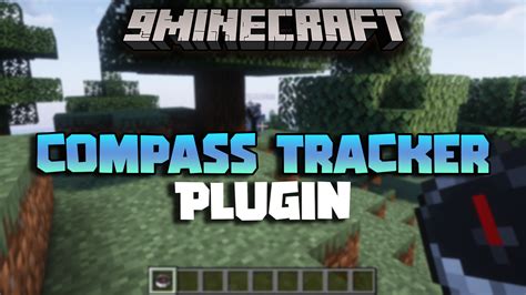 Image result for How to Make a Compass Track a Player 1.16.4 Java